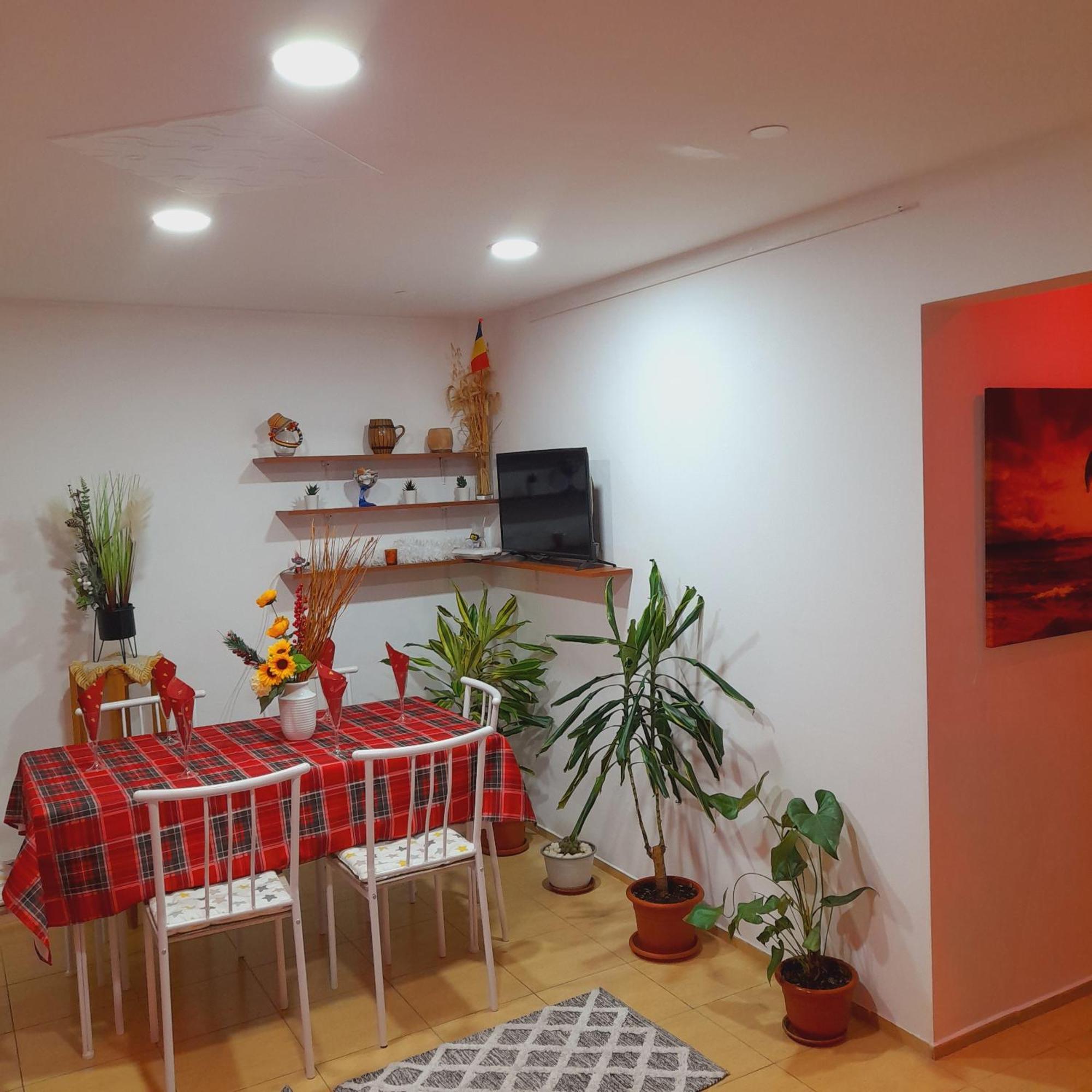 Apartment Boulevard Cetate Alba Iulia Rum bild