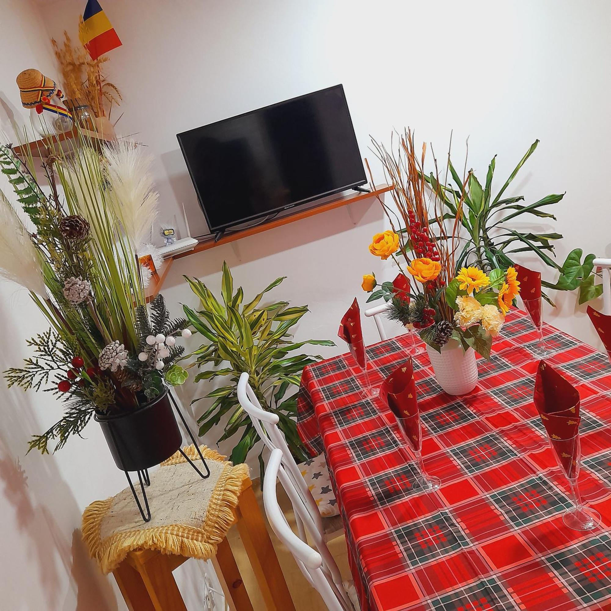 Apartment Boulevard Cetate Alba Iulia Rum bild